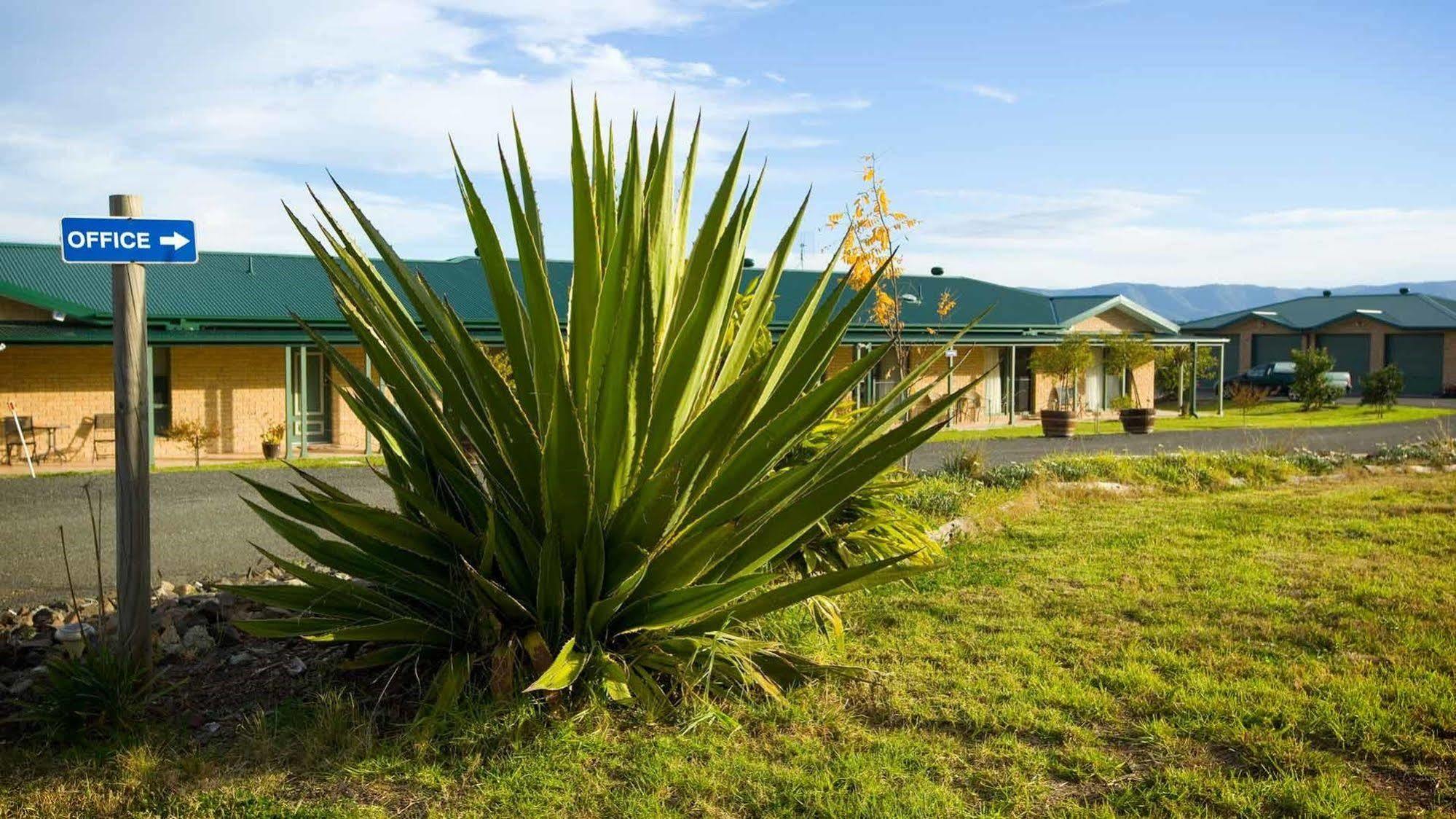 Talga Estate Villa Lovedale Buitenkant foto